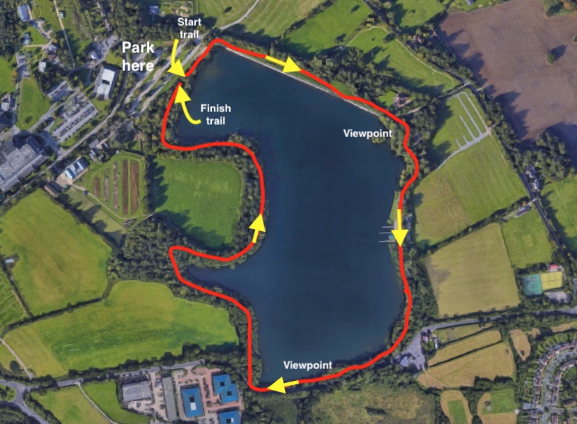 Walking in Aldenham country park