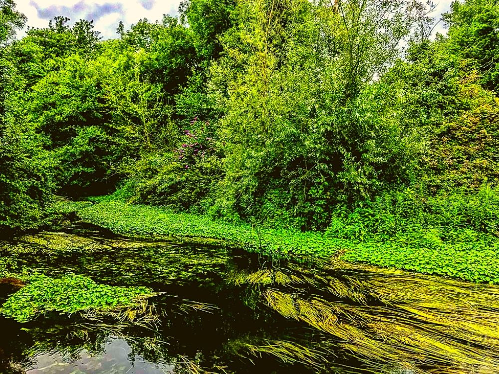 Batchworth lake