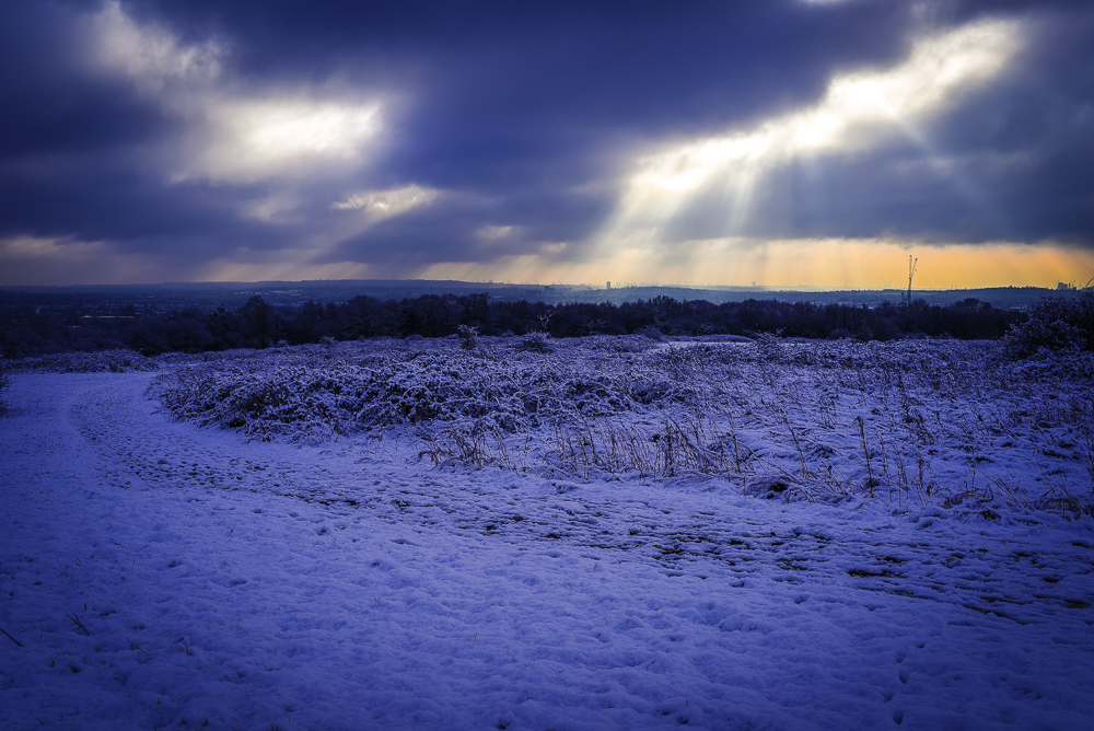 Pear-Wood-8 Wendover Woods