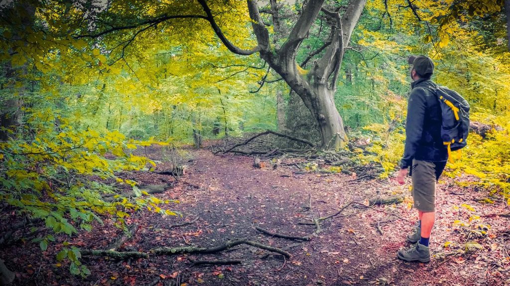 Shameer in the woods Shameer Shah Photography
