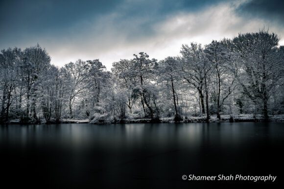 Winter nature photography