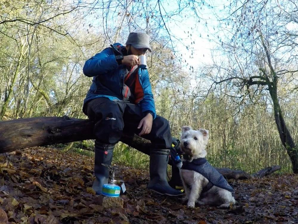 Acrobatic trail dog hiking Mental Health