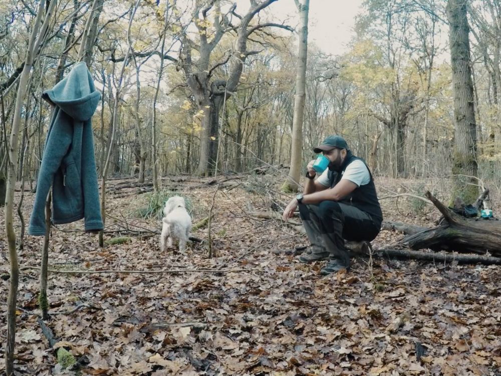 Wendover Woods