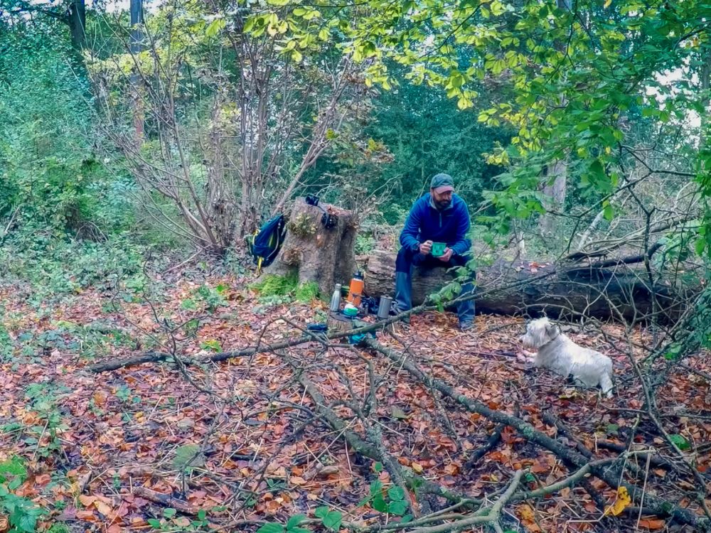 Beginners guide to camping Wendover Woods