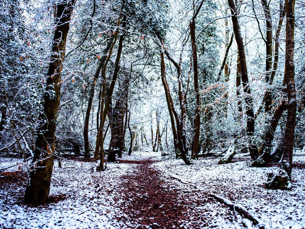 Nature hiking Nature hiking