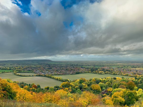 Chilterns Walk