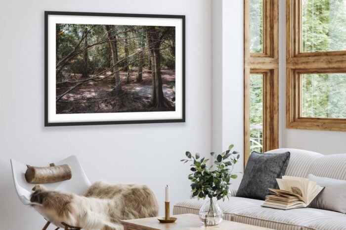 Shameer Shah Photography Limited Edition Prints
