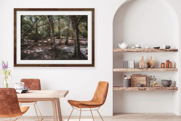 Shameer Shah Photography Limited Edition Print