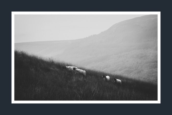 Shameer Shah Photography - Landscape series