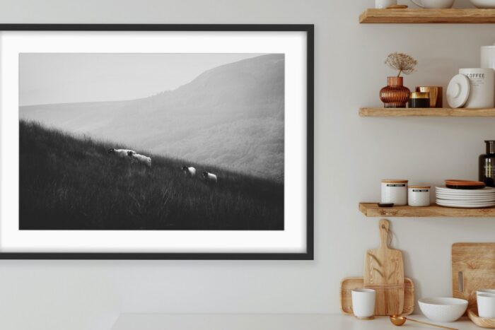 Shameer Shah Photography Limited Edition Prints