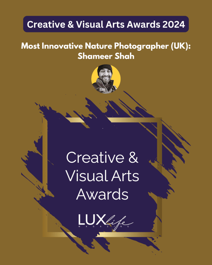 Creative And Visual Arts Awards 2024