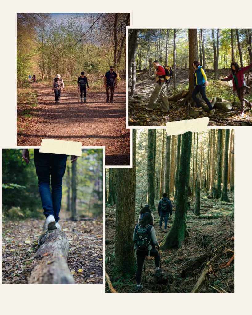 1 London walking guide