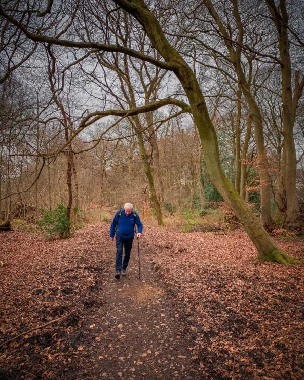 Best local hikes near me