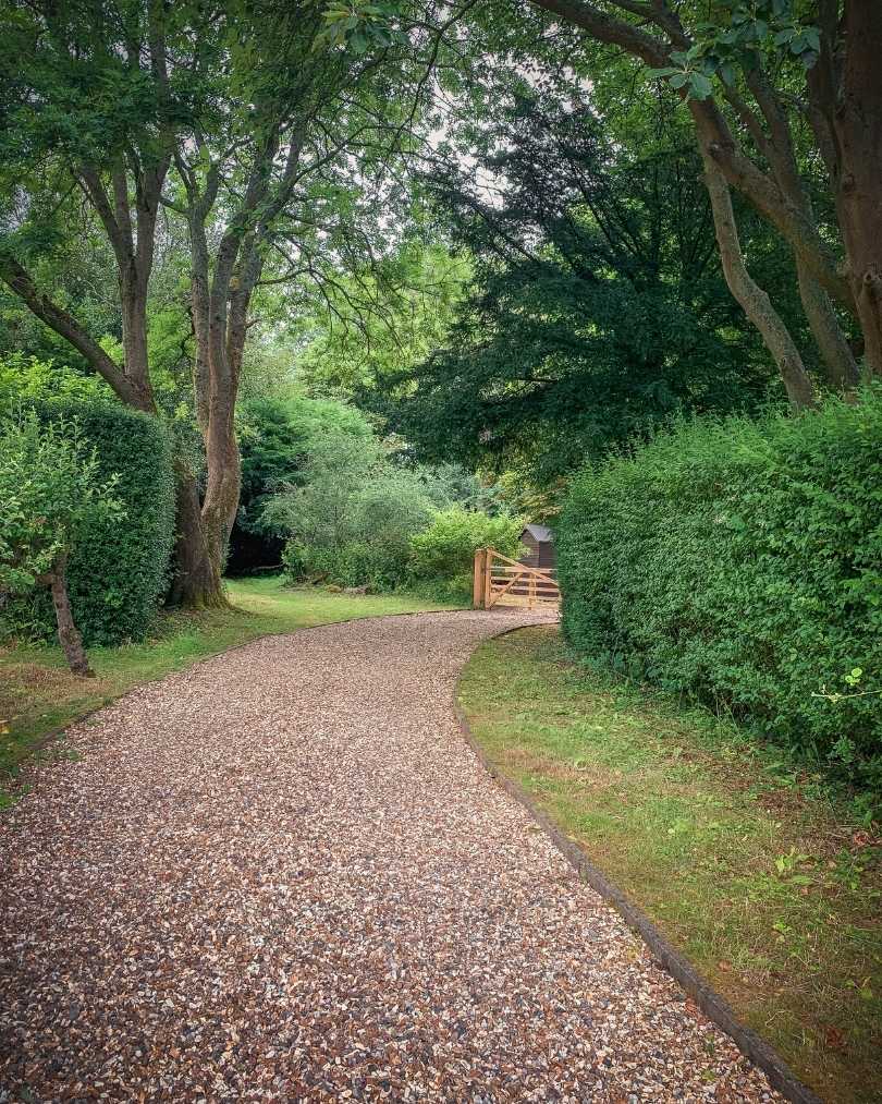 Best local hikes near me