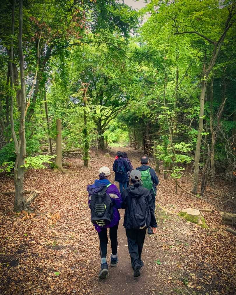 Best local hikes near me