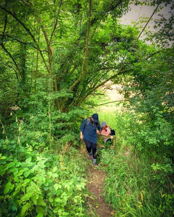 Chilterns hiking and camping