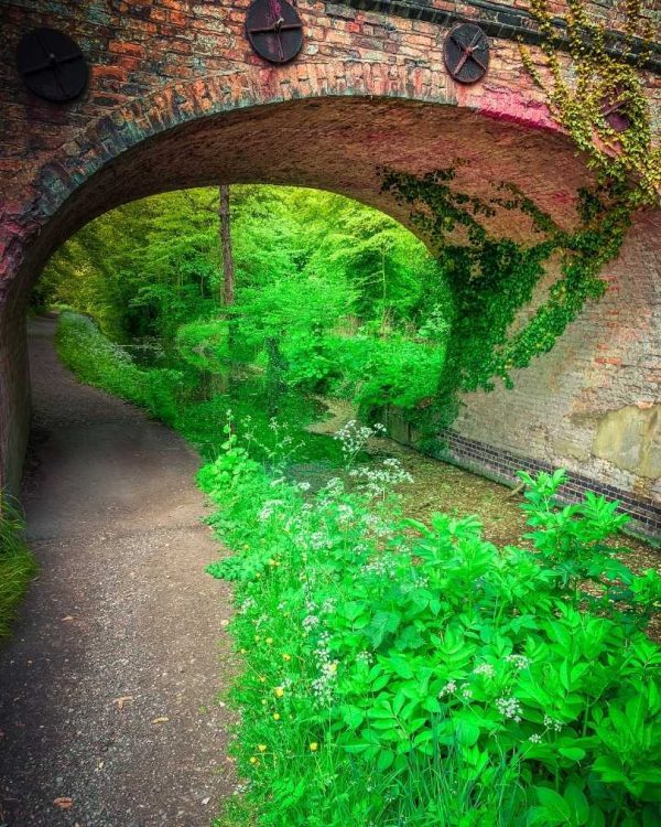 2 day hike in the Chilterns