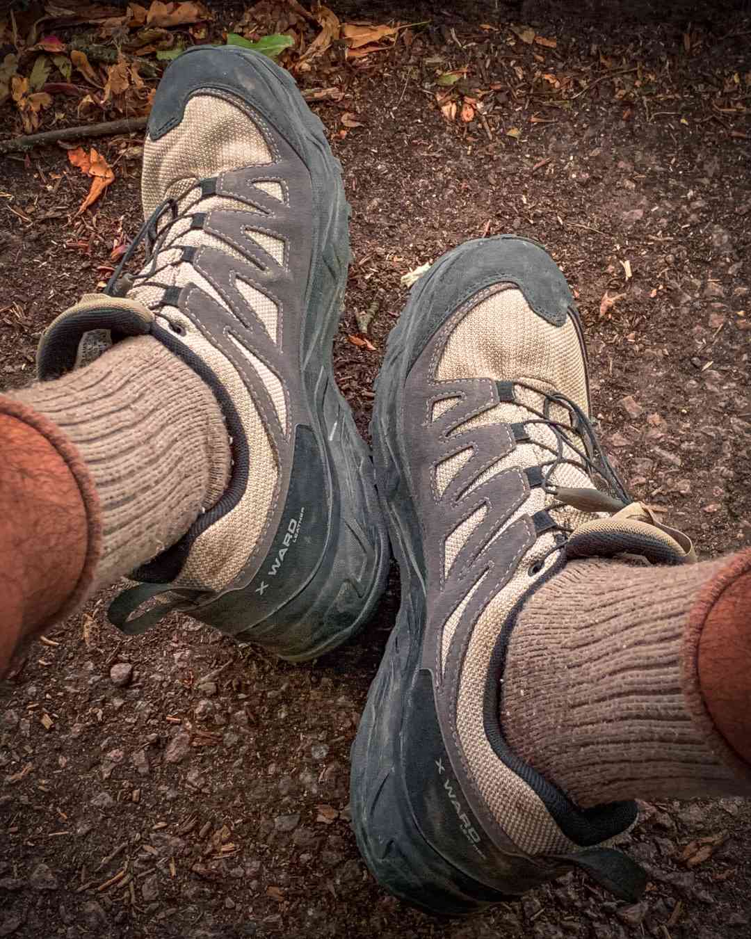 Waterproof walking boots