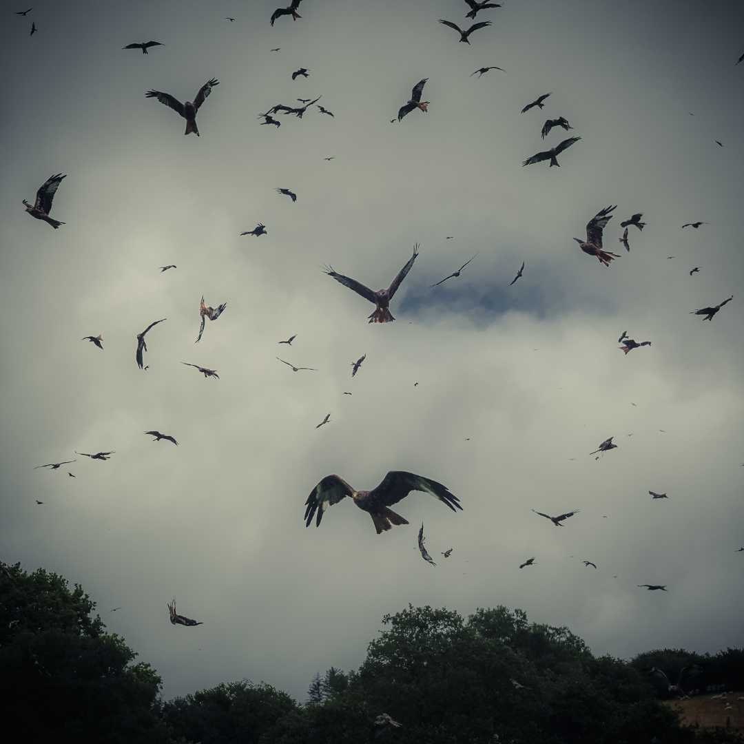 Digital detox retreat