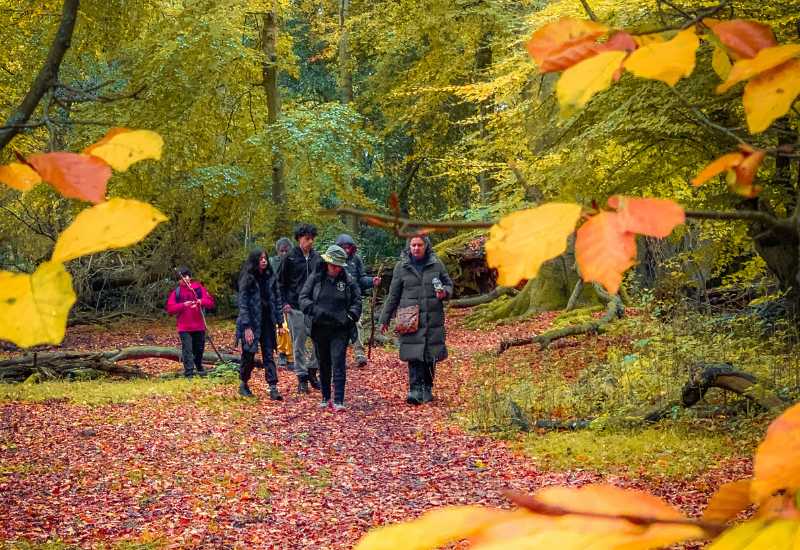 Hiking UK in autumn